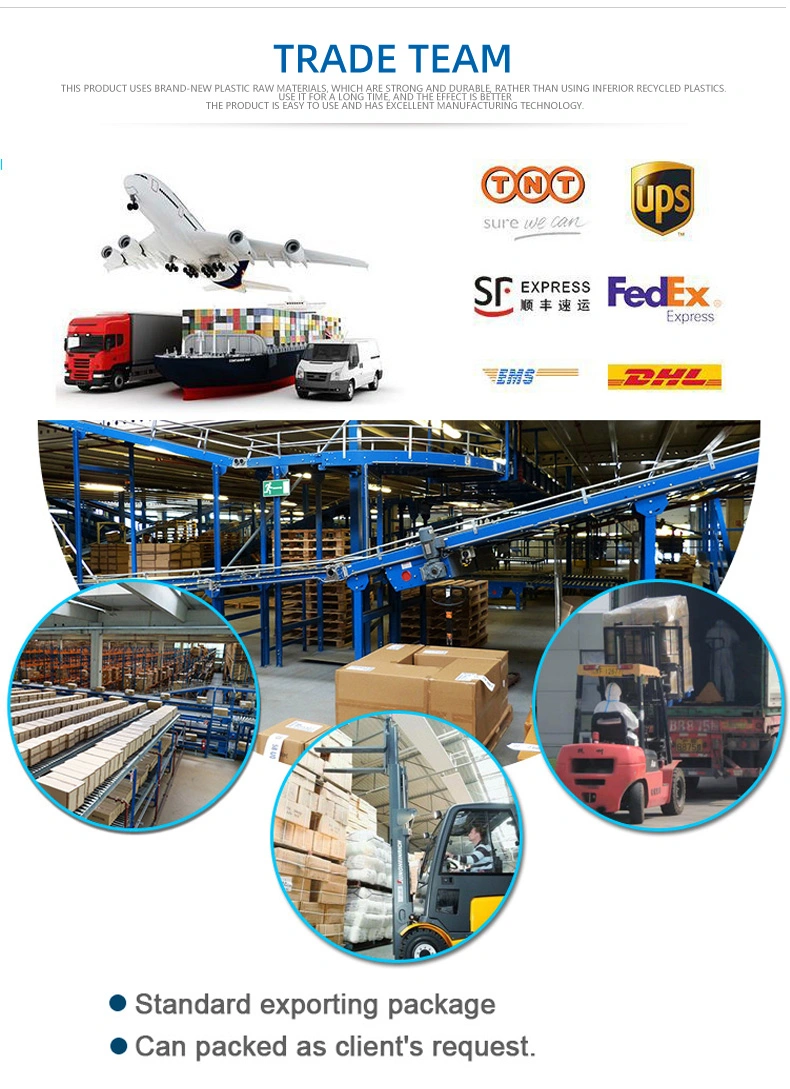 Haasbelts Chains Freeflow Transfers Flush Gird 1000 Series Modular Plastic Belt Conveyor Factory