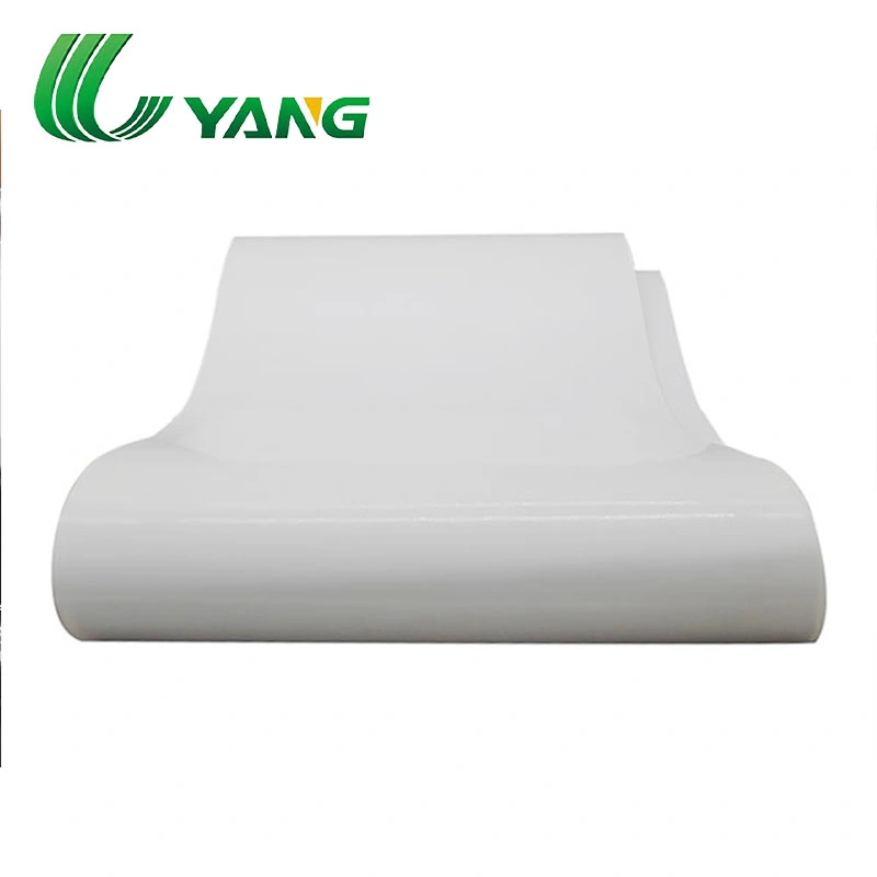 Habasit Fab-5er Silicone Conveyor Belt for Frozen Food Chemical Industry