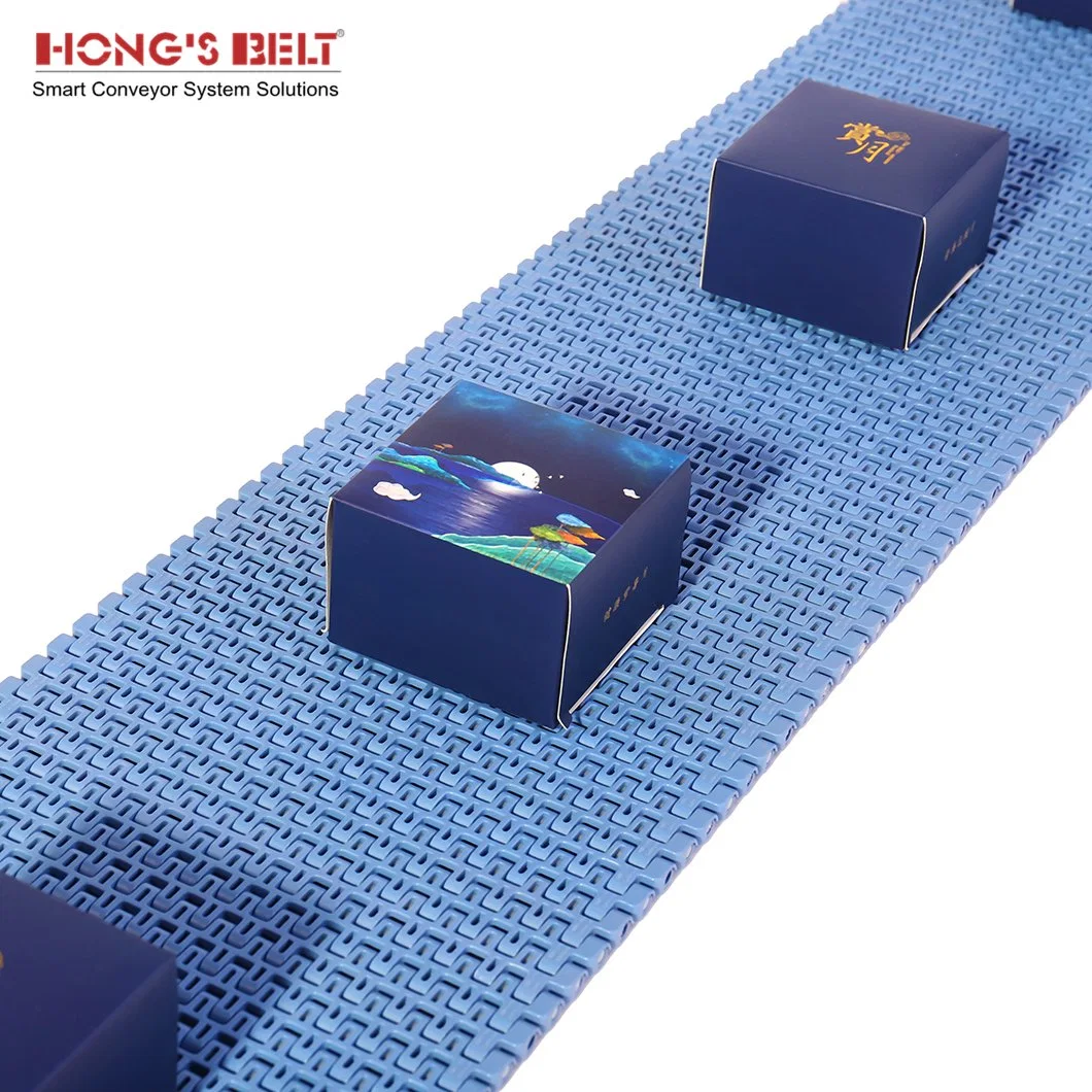 Hongsbelt High Quality Food Grade Modular Belt Conveyor Modular Belt Conveyor Chain