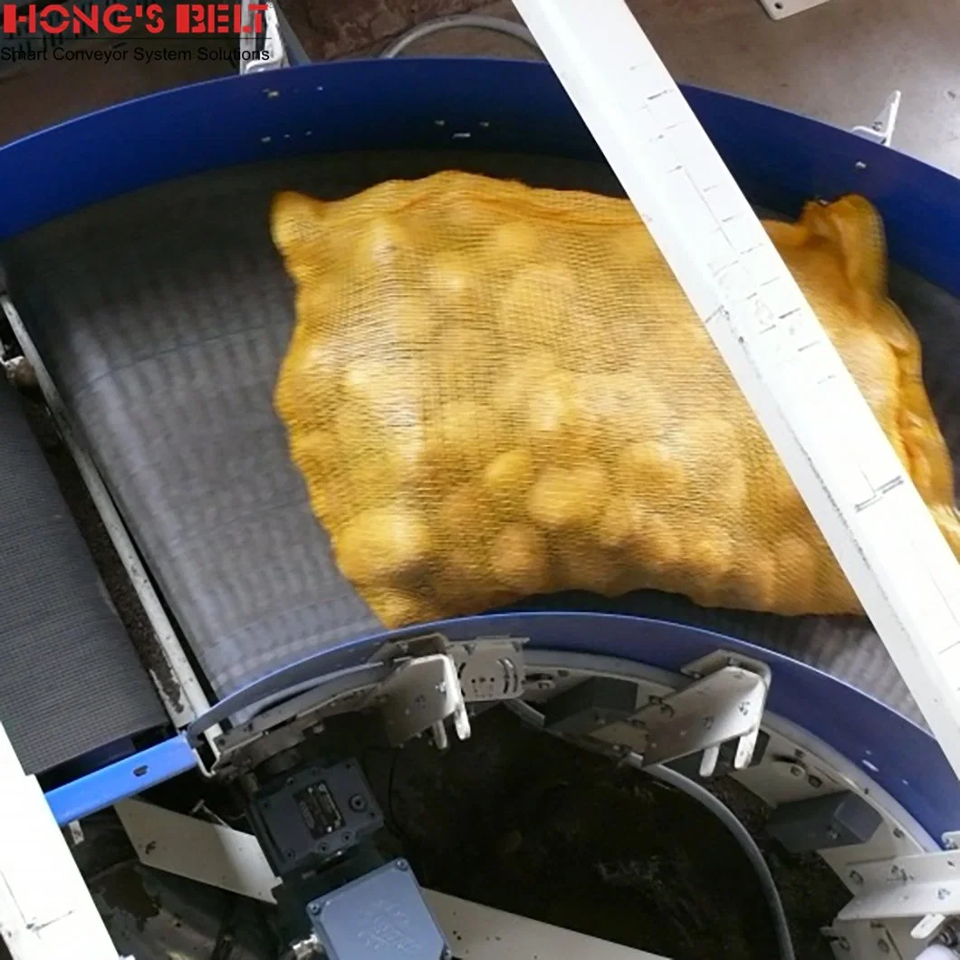 Hongsbelt Belt Conveyor Price Curv Belt Conveyor for Fruit and Vegetable Cleaning Industry