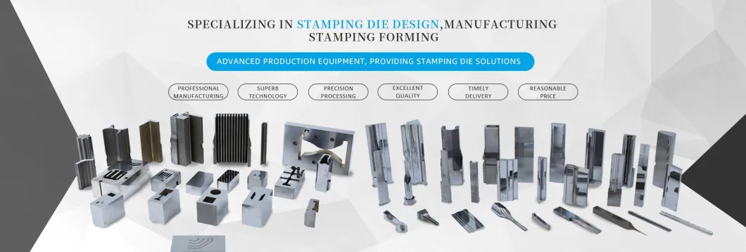 OEM High Precision Mold Spare Parts/Mold Core/Mold Components