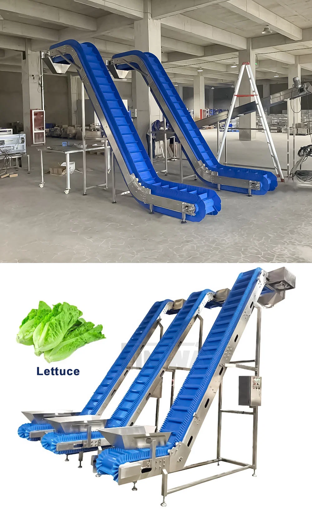 Linway Cheap Stainless Steel Frame Plastic Modular Inclined Belt Lifting Conveyor for Pickled Radishes