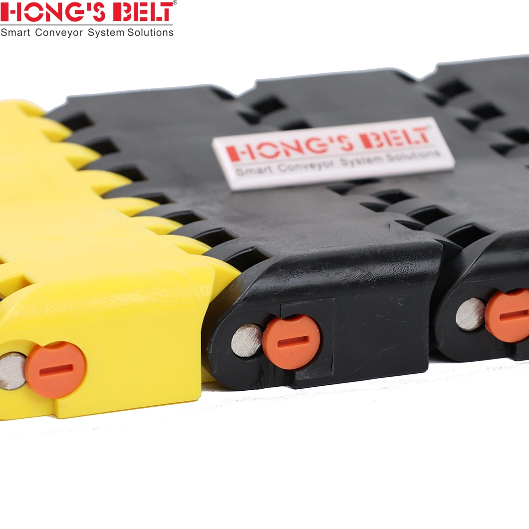 Hongsbelt High Quality Plastic Modular Belt Car Washing Modular Belt