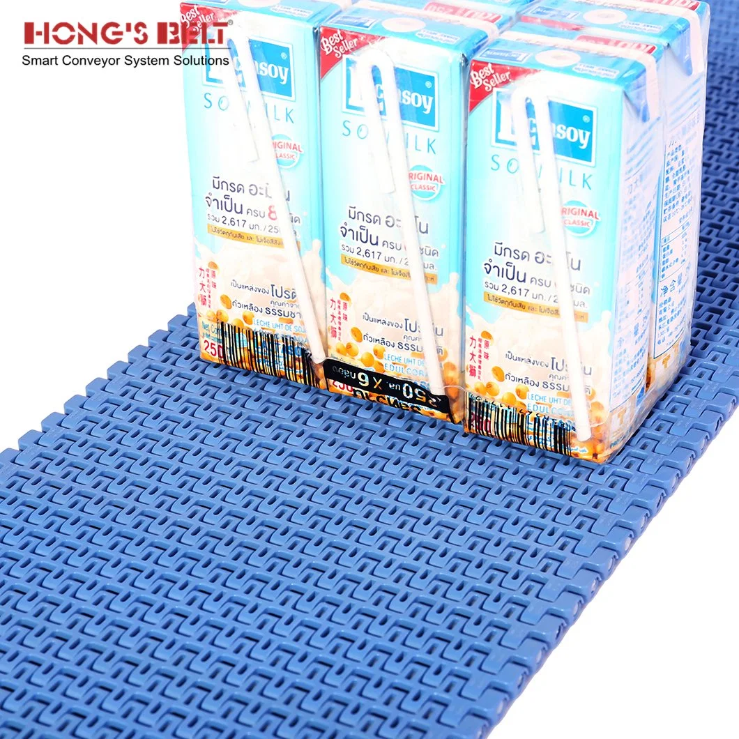 Hongsbelt High Quality Food Grade Modular Belt Conveyor Modular Belt Conveyor Chain