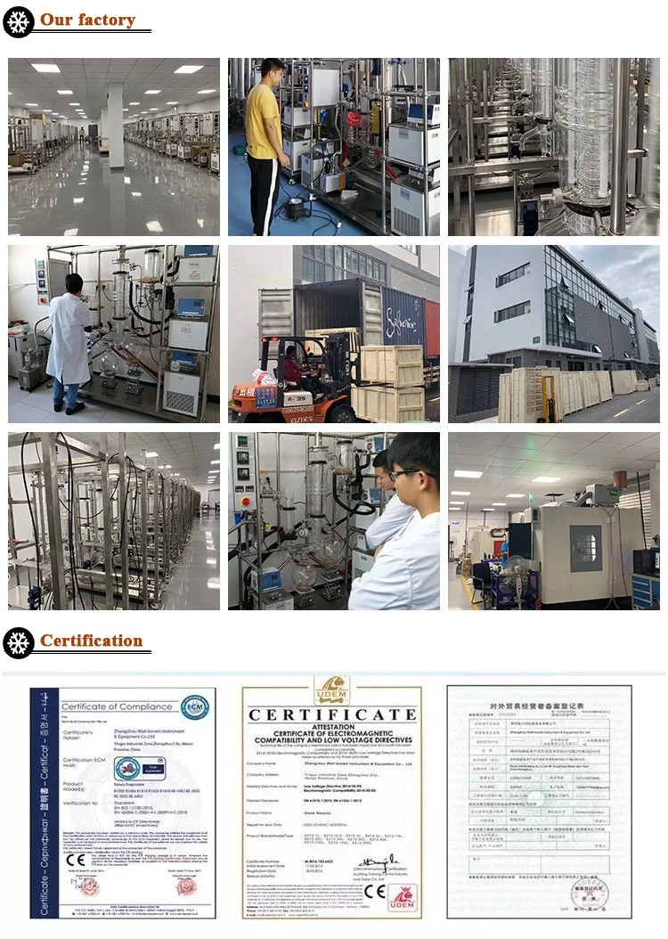 30kg/24h Factory Pharmaceutical in-Situ Electric Heating Vacuum Freeze Dryer Suppliers