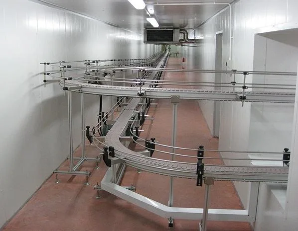 Food Conveyor Ss 304 Roller Chain Driven Belt for Instant Noodle Conveyor