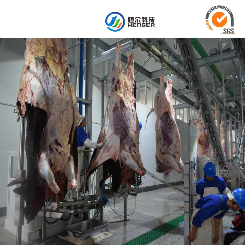 Cattle Sheep Pork Pig Slaughter/Slaughtering Machine with CE