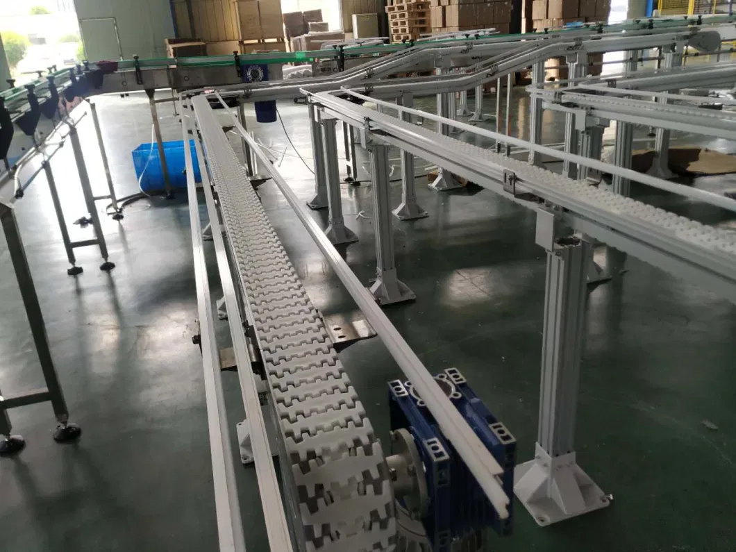 Hairise Flexible Chain Conveyor System for Transporting Tray with ISO&amp; CE &FDA Certificate