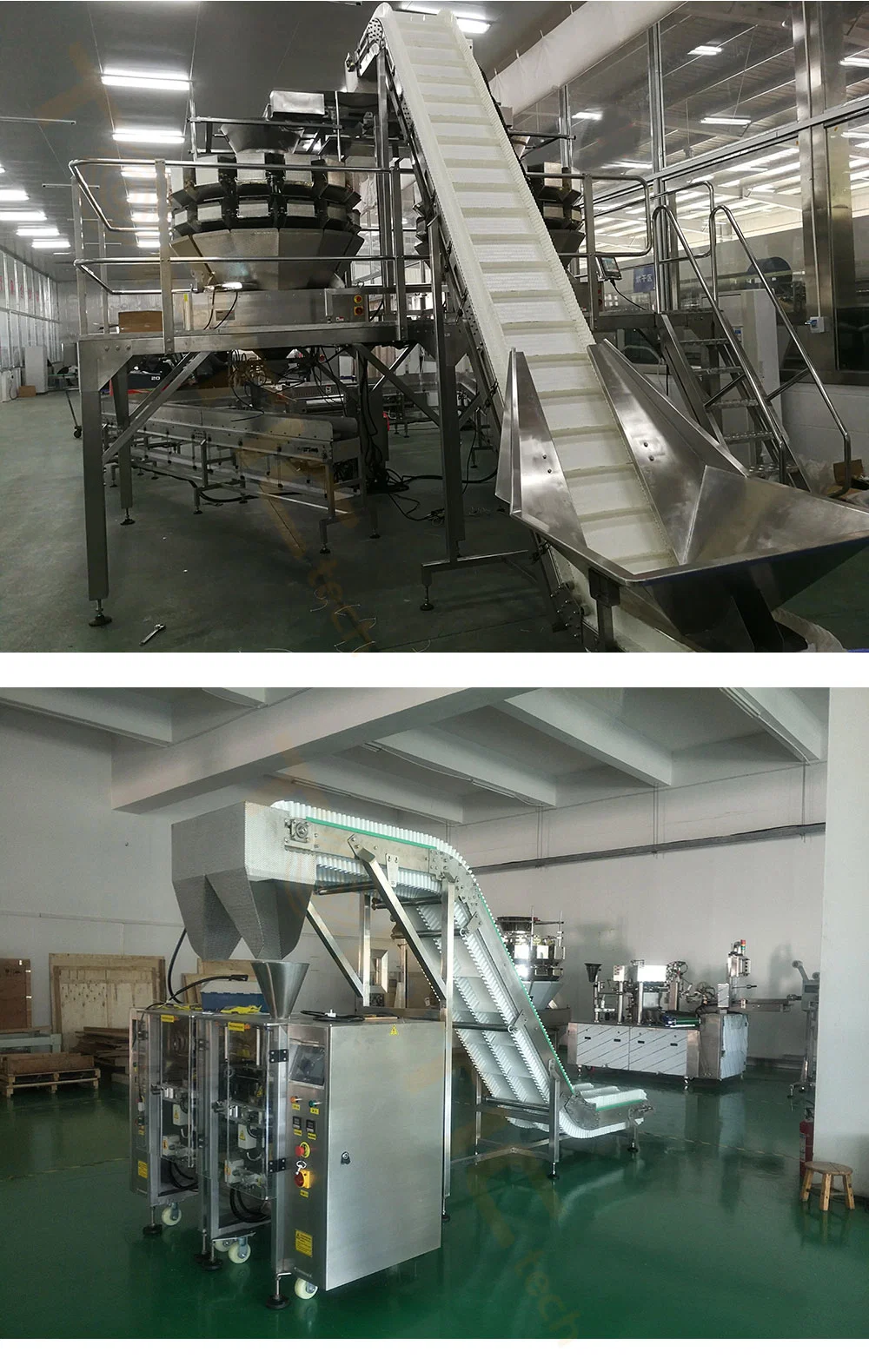 Tt-IC-01 Washable Belt Conveyor Easy Installation Operation Frozen Food Vegetables Feeding Conveyor for Bag Case Box Packing Line System