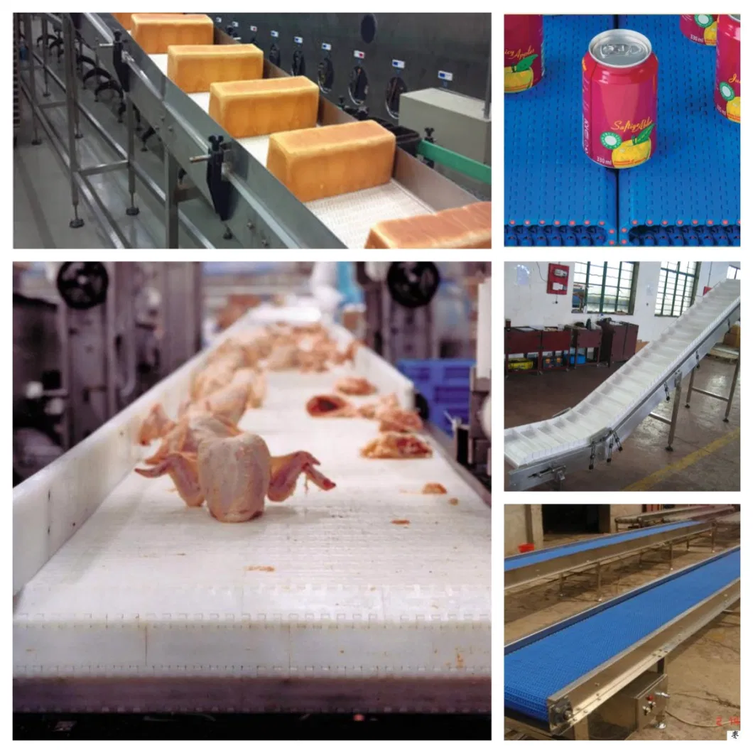 Zy3800fg Plastic Radius Conveyor Modular Belts for Food Industry