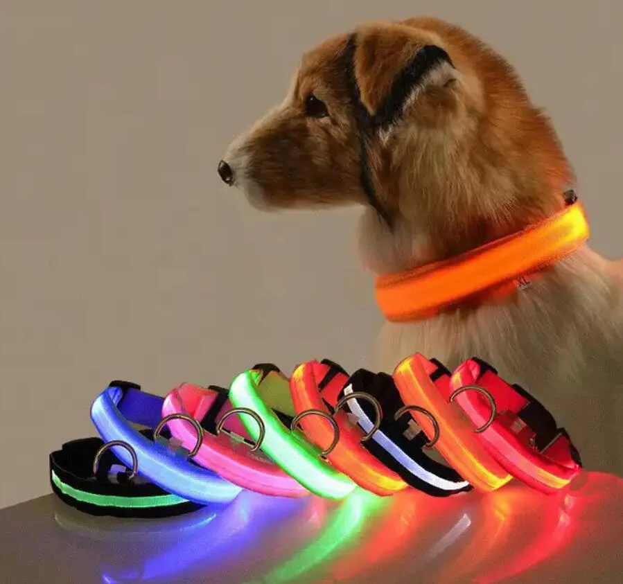 Temu Hot Sell USB Rechargeable Dog Supply Personalized Manufacturers Silicone Collares De Perros Custom LED Dog Collar