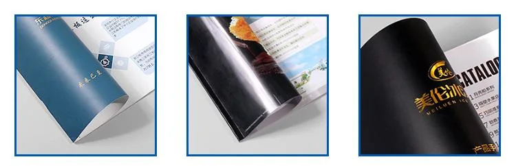 Factory Supply Company Product Manual Printing and User Manual