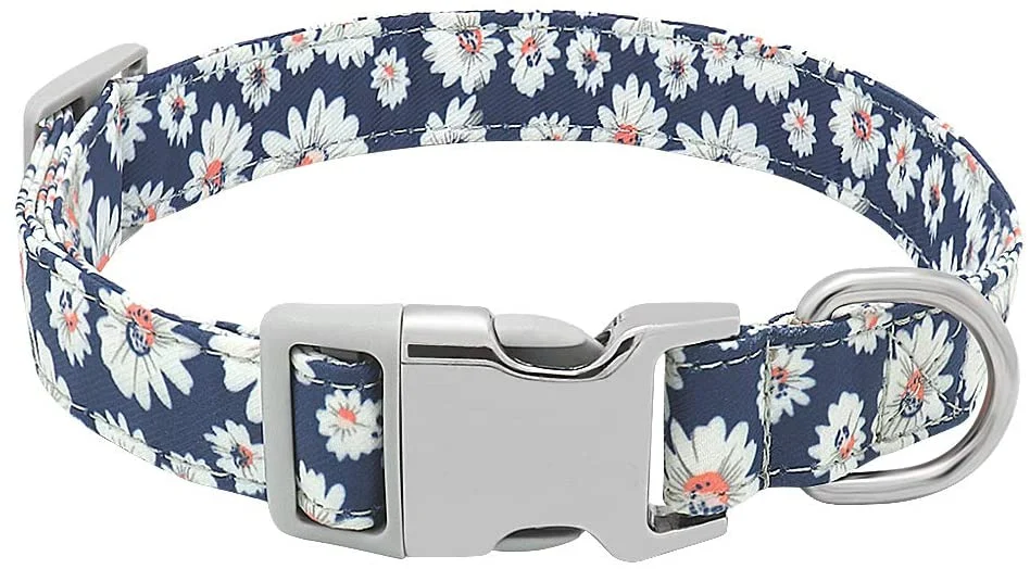 Pattern Female Dog Collar Quick Release Adjustabe Pet Gift Dog Collar