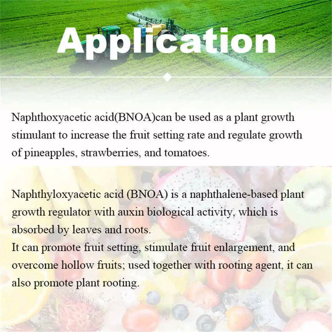 Best Sale 2-Naphthoxyacetic Acid Bnoa 98%Tc CAS 120-23-0 Plant Growth Promoter Auxin