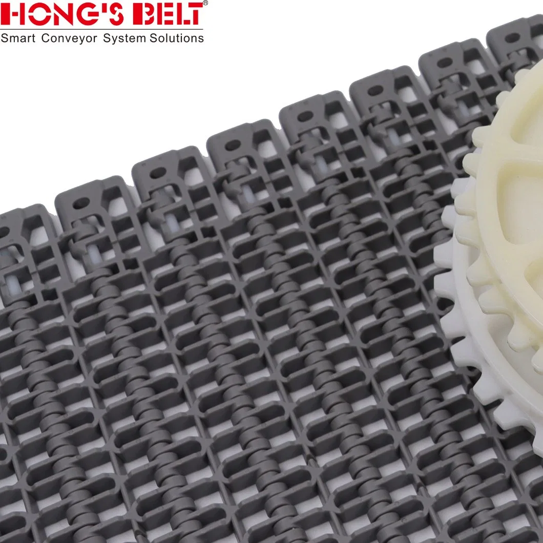 Hongsbelt High Quality Plastic Modular Conveyor Belt Plastic Modular Belt