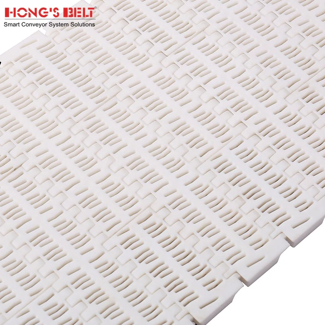 Hongsbelt HS-703b-N Modular Plastic Modular Conveyor Belt for Seafood Processing