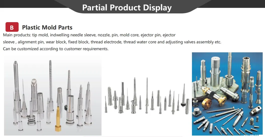 OEM High Precision Mold Spare Parts/Mold Core/Mold Components