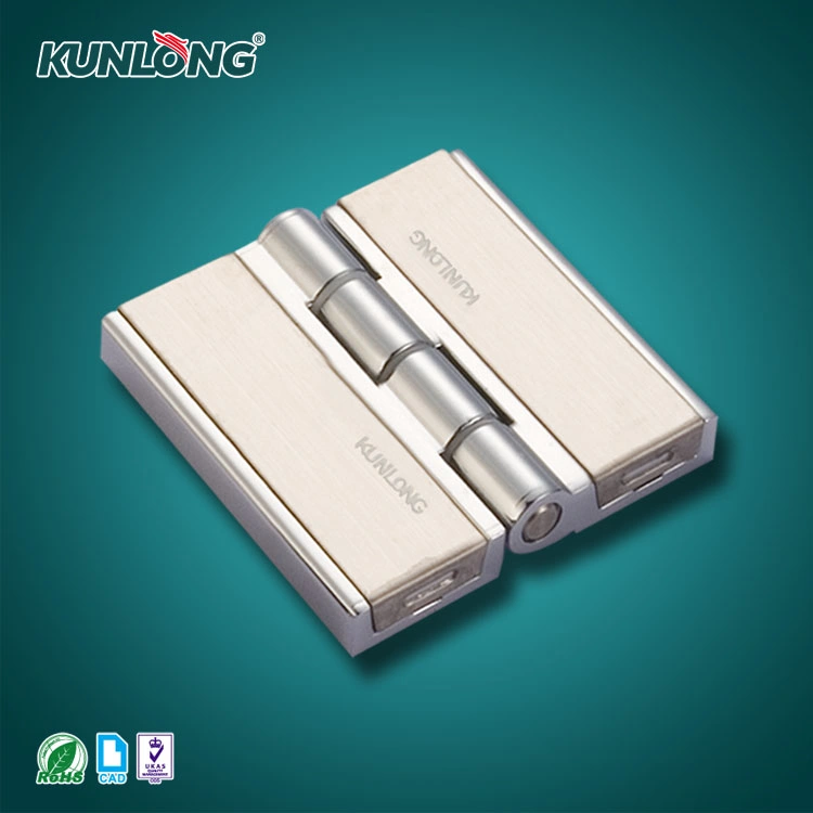 Sk2-003-1 Best-Selling New Style Exposed Hinge for Cabinet