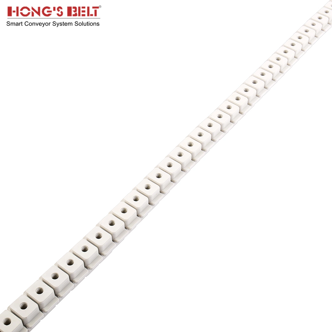 Hongsbelt F3000td Multi Flex Plastic Chain Conveyor Belts Keel Chains