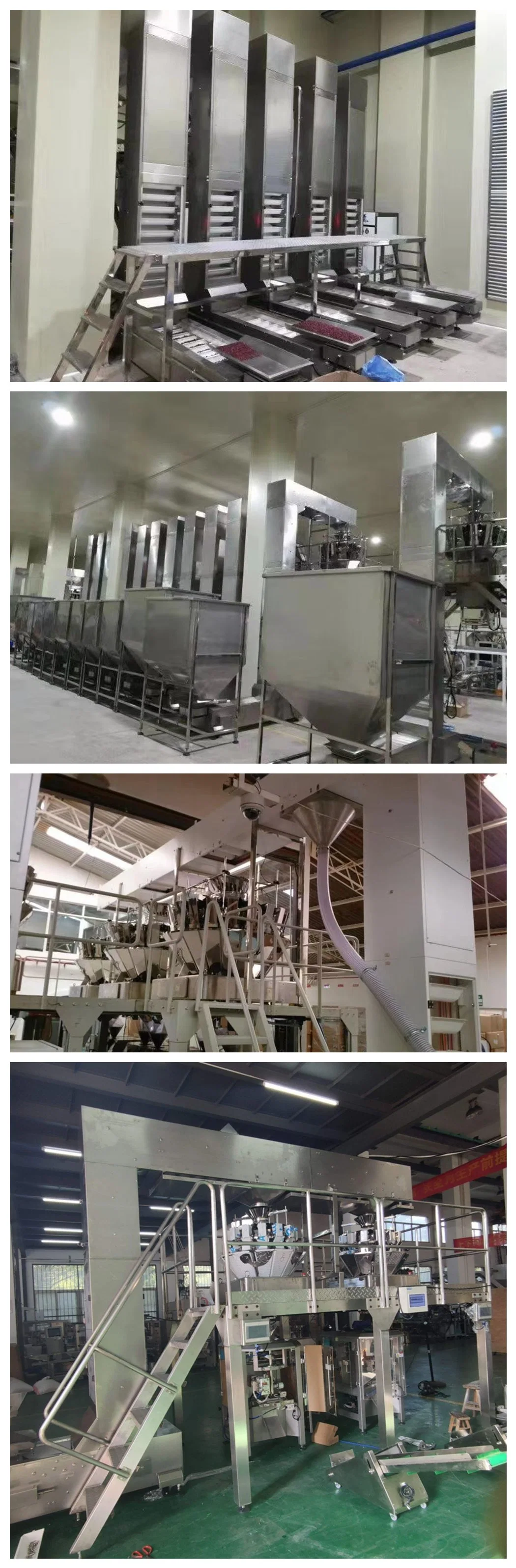 Customizable Z-Type Bucket Conveyor for Rice Granule Lifting