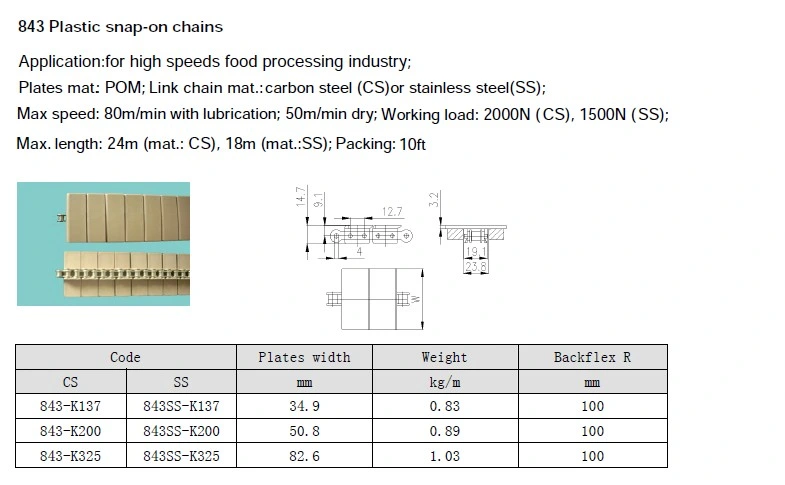 843-K137 Straight Running Plastic Snap on Conveyor Chains for Bottle Lines