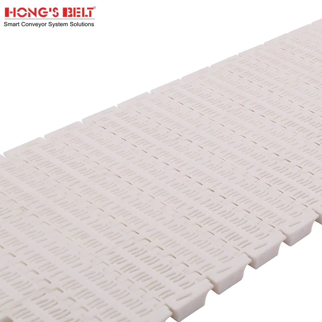 Hongsbelt HS-703b-N Modular Plastic Modular Conveyor Belt for Seafood Processing