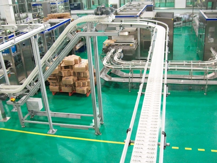 Double Wear Strip Shoe, Tile Chain Guide Wear Strips for Conveyor