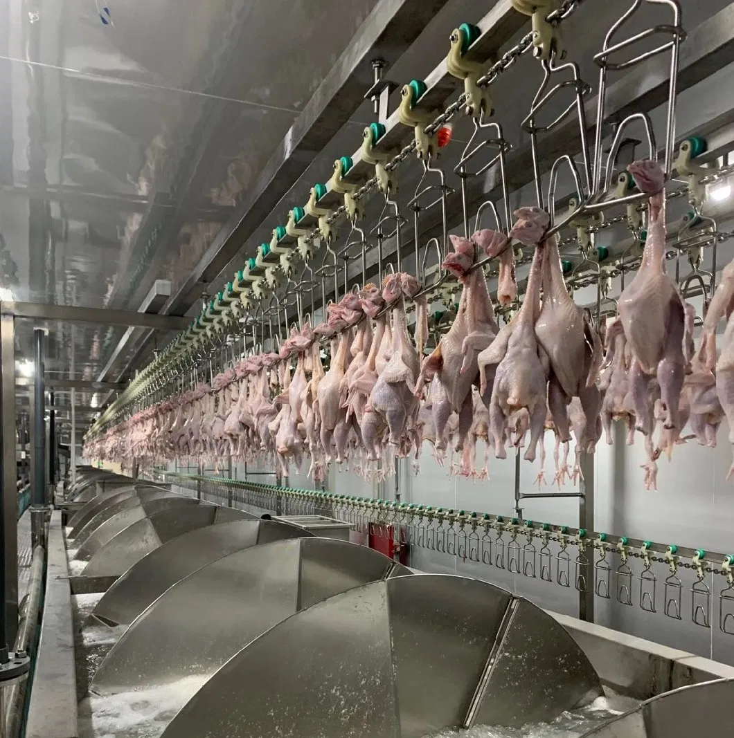 Zhongda Brand Finished Full 3000 Chicken Per Hour Slaughter Machine Line Installed Line in Dubai