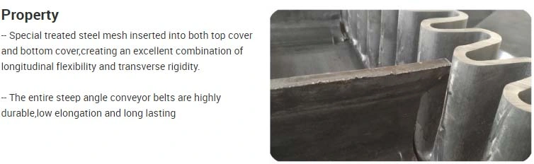 Weighing Coal Feeder Conveyor Belt for Feeders Powder Counterweight Apron Ruched Conveyor Belt