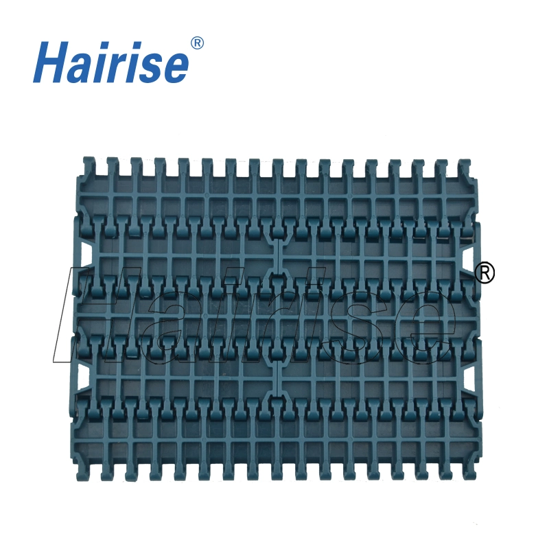 Hairise High Quality Conveyor 1000 Limited Type Modular Belt