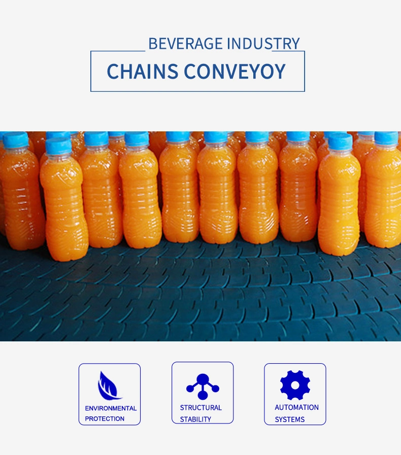 Hairise Food Grade Plastic 880m Curve Top Chains