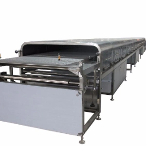 Can Bottle Beverage Conveyor Quality Stainless Steel Beer Industry Material Handing Solution