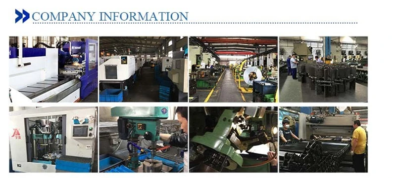 Factory Molding Pj0153 Type Conveyor Components for Sachet and Bottle Transferring