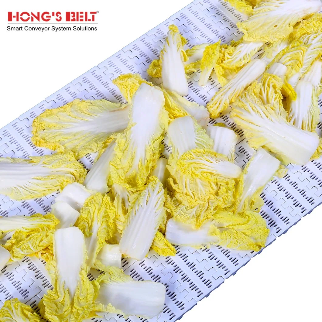 Hongsbelt HS-100b-HD Easy Clean Flush Grid Modular Plastic Conveyor Belt Fruit Conveying Belt