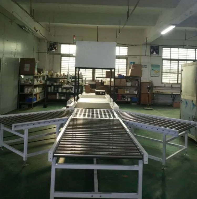 Custom Design Express Delivery Parcel Cycling Sortation Conveyor System for E-Commerce