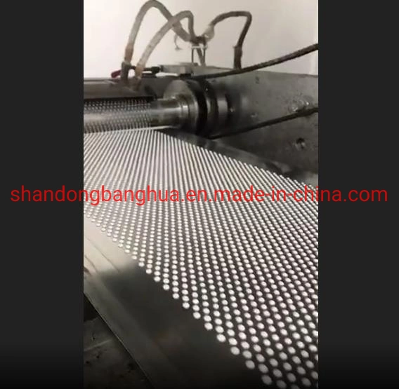 Stainless Steel Belt Strip for Conveyor, Granulation Equipment, Granulator etc