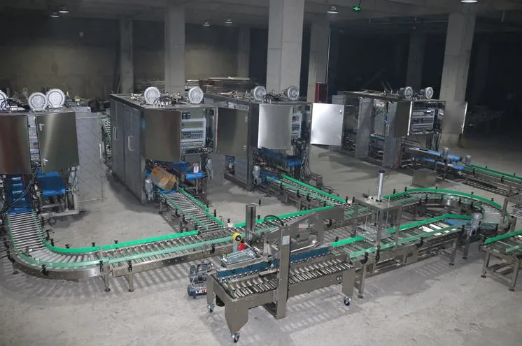 Custom Design Express Delivery Parcel Cycling Sortation Conveyor System for E-Commerce