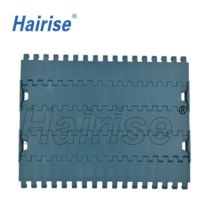 Hairise High Quality Conveyor 1000 Limited Type Modular Belt