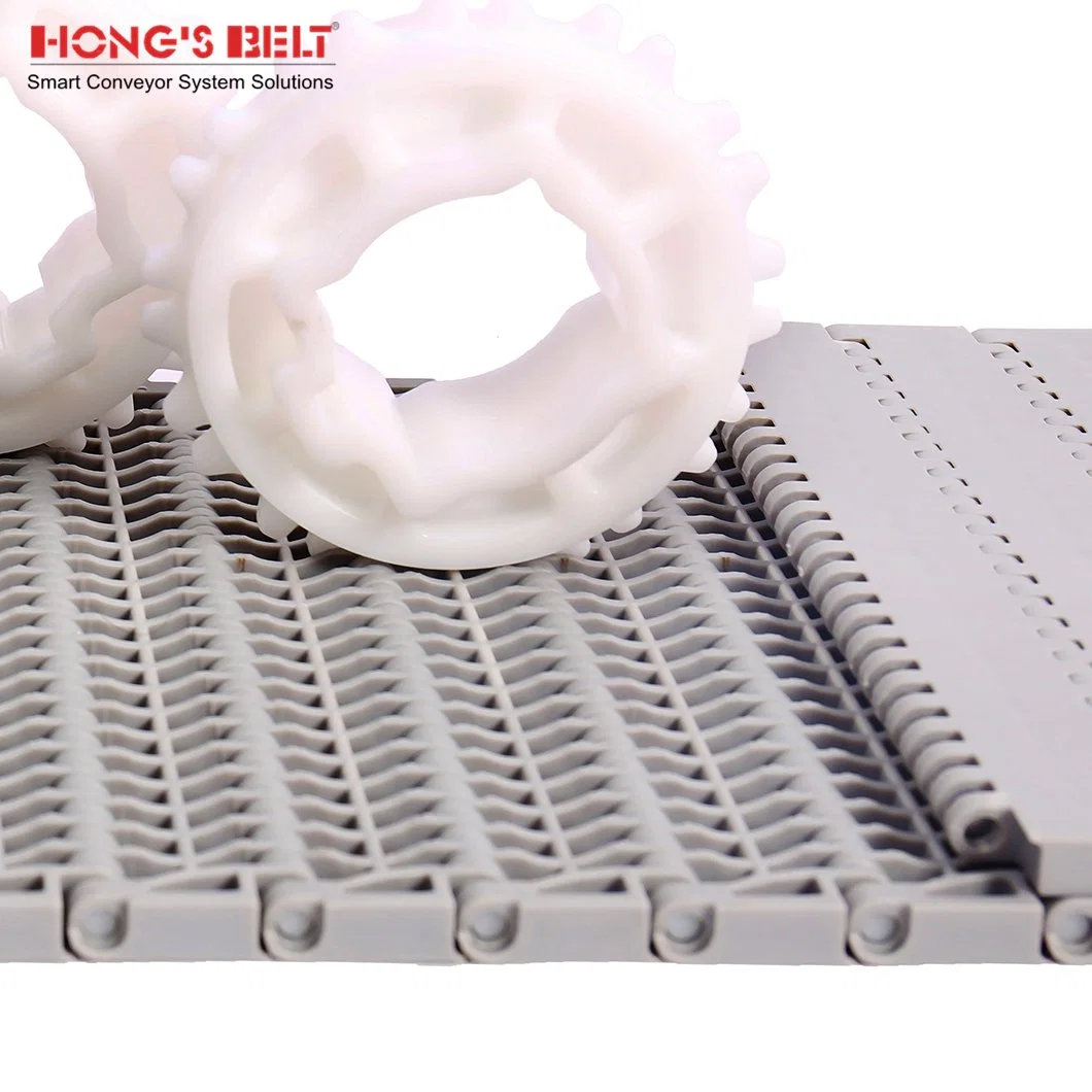 Hongsbelt Thin Food Grade Belt Conveyor Plastic Chain Conveyor Belt for Food Industry