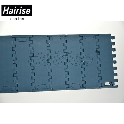 Plastic Conveyor Modular Belt 1000 Series Flat Top with Positrack Wtih ISO&amp; CE &FDA Certificate