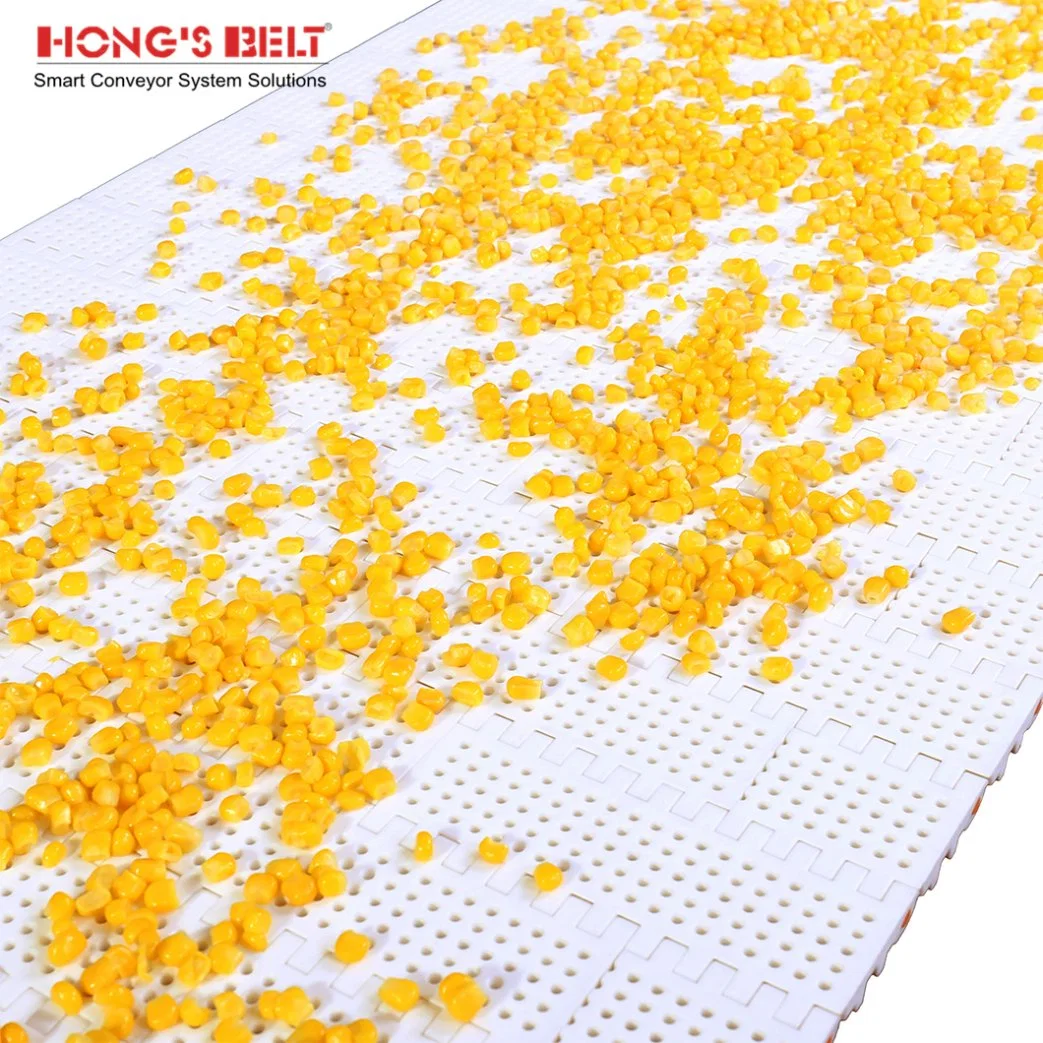 Hongsbelt Flat Top Small Perforated Conveyor Modular Belt for Food Industry