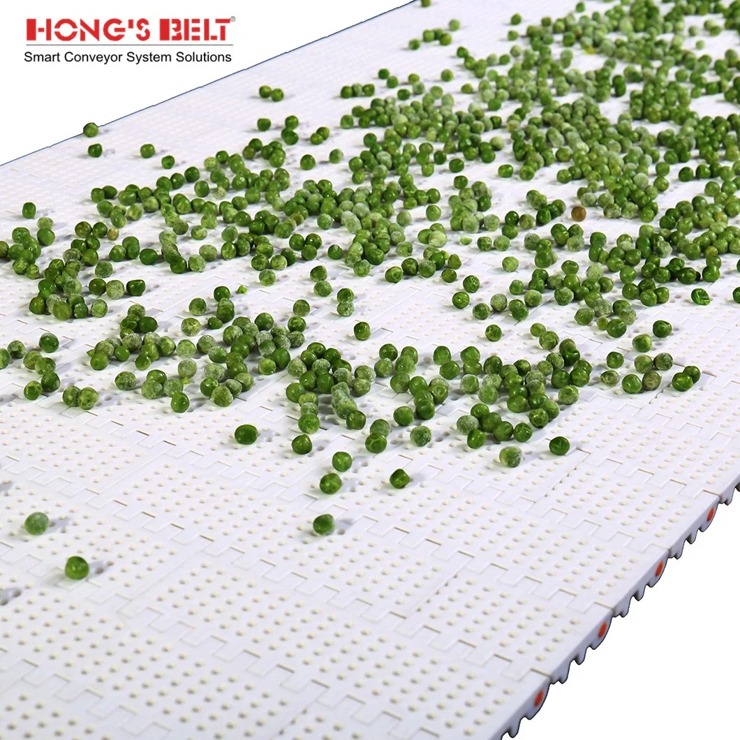 Hongsbelt Flat Top Small Perforated Conveyor Modular Belt for Food Industry