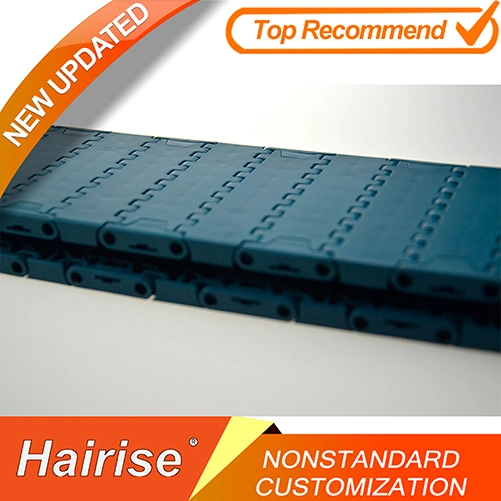 Plastic Conveyor Modular Belt 1000 Series Flat Top with Positrack Wtih ISO&amp; CE &FDA Certificate
