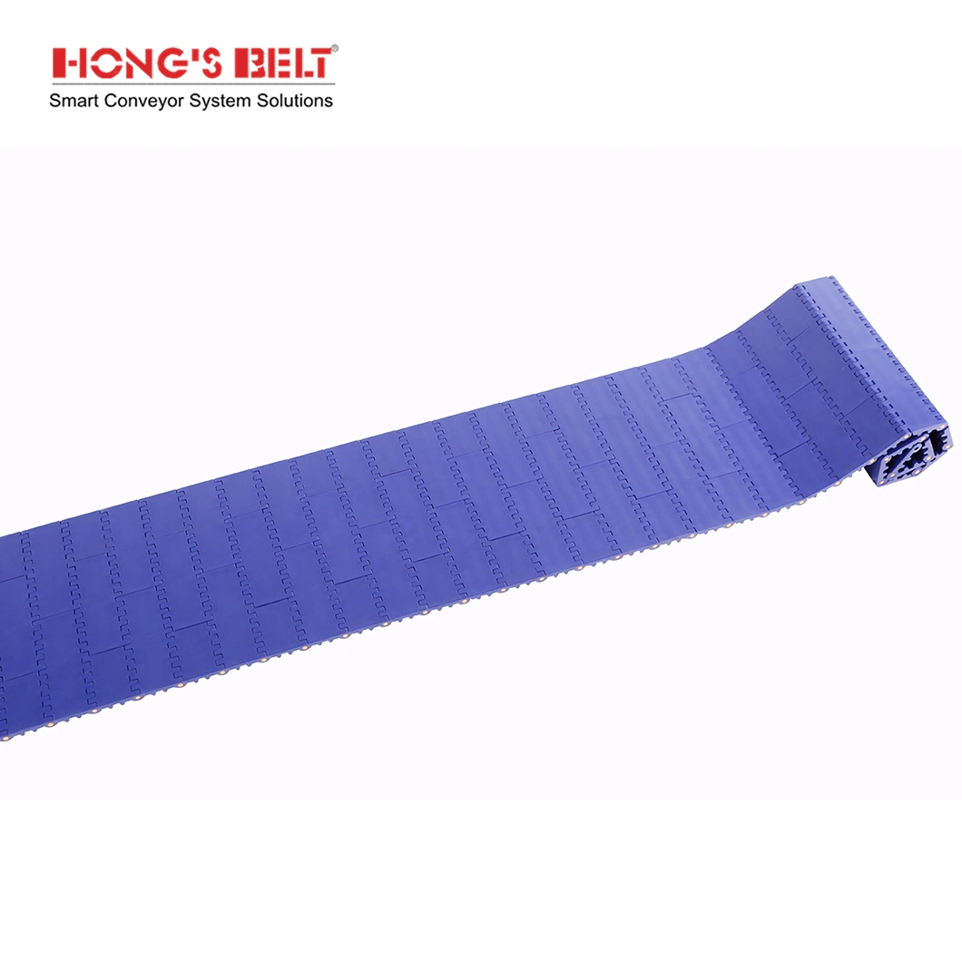 Hongsbelt Hot Sale Conveyor Modular Belt Flat Top Modular Belt