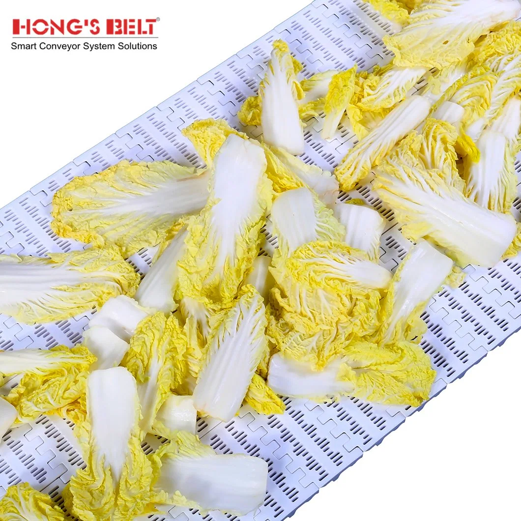 Hongsbelt Perforated Flat Top Modular Plastic Conveyor Belt for Fruit and Vegetable Processing