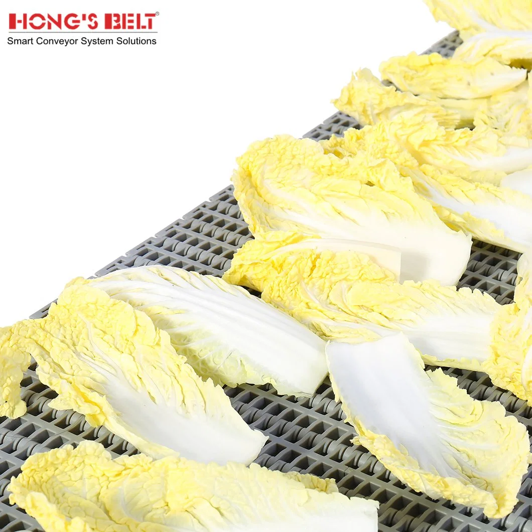 Hongsbelt Easy Clean Antibiotic Conveying Flush Grid Modular Plastic Conveyor Belt for Food