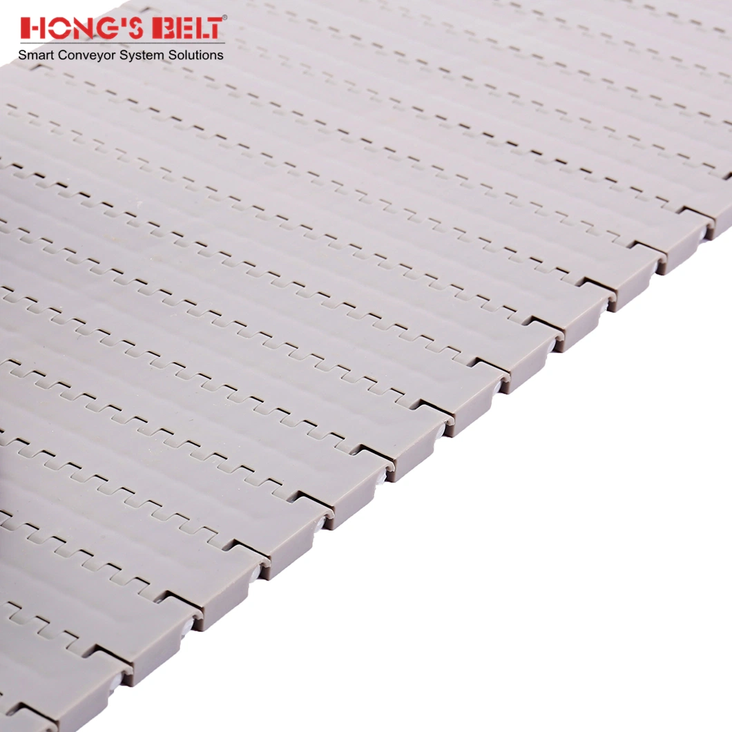 Hongsbelt Thin Food Grade Belt Conveyor Plastic Chain Conveyor Belt for Food Industry