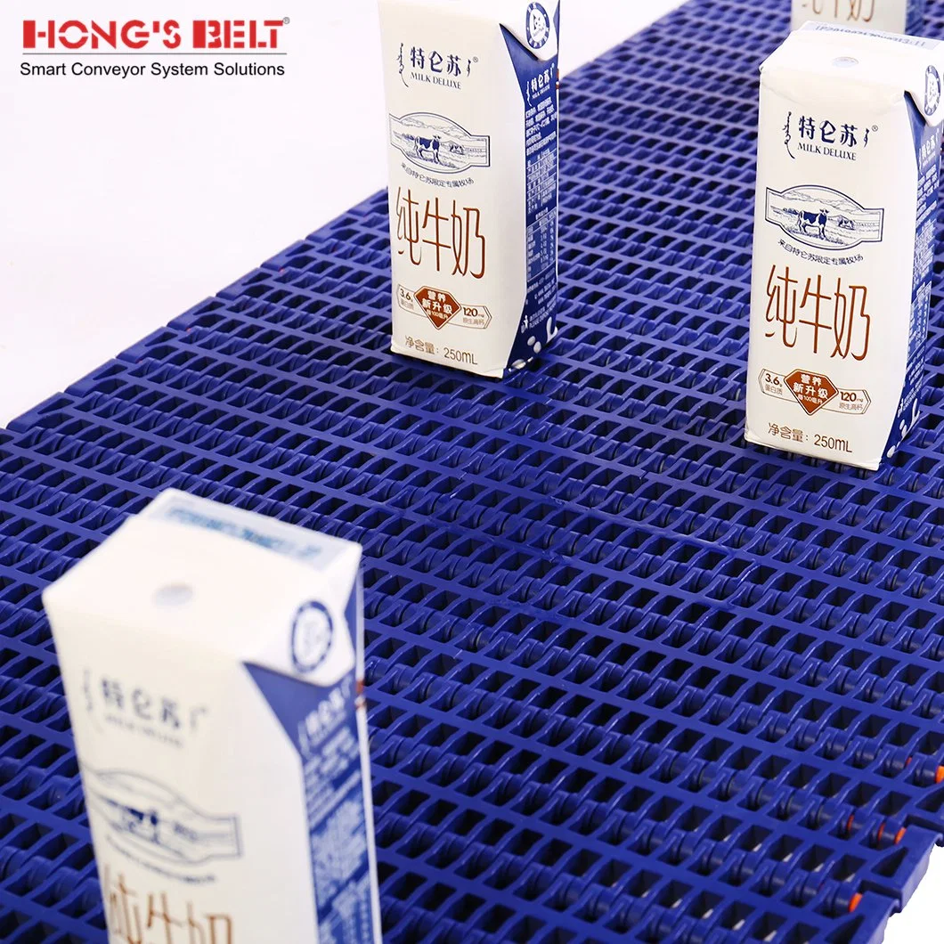 Hongsbelt Modular Short Belt Conveyor Food Plastic Modular Conveyor Belt