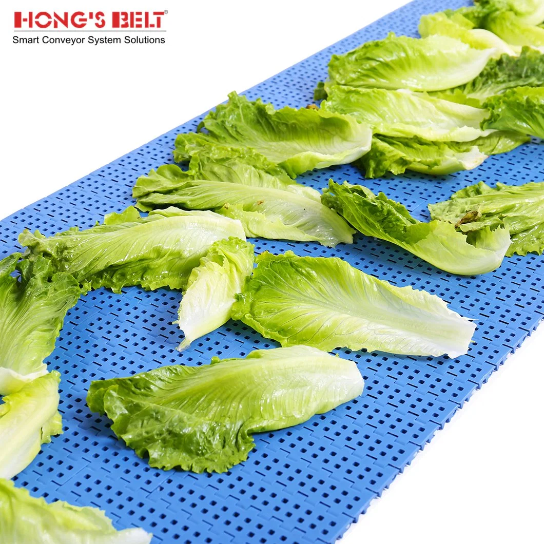 Hongsbelt Easy Clean Fruit Conveying Flush Grid Modular Plastic Conveyor Belt for Food