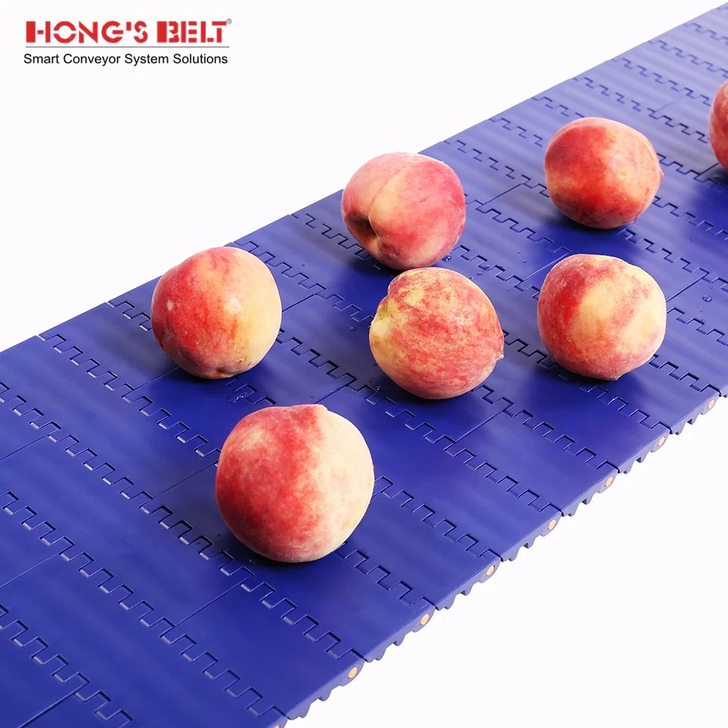 Hongsbelt HS-100A Easy Clean Flat Top Modular Plastic Conveyor Belt for Food